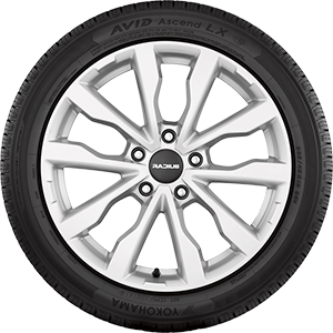 AVID Ascend LX tire