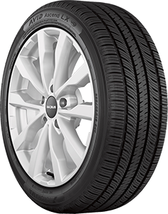 AVID Ascend LX tire